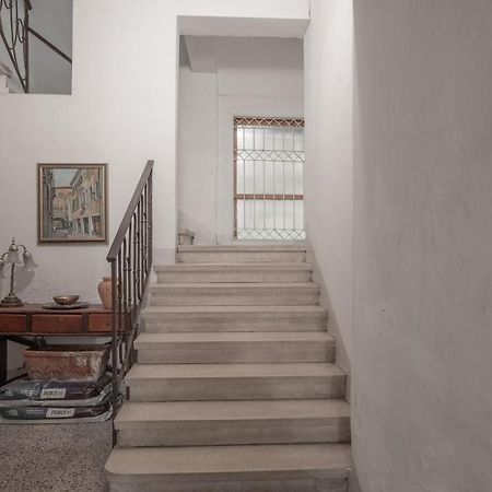 Piazza Delle Erbe Central Apartment 帕多瓦 外观 照片